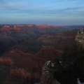 Grand Canyon Trip 2010 434